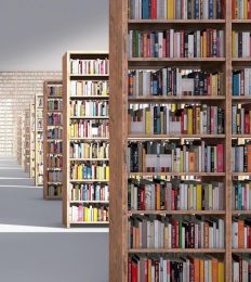 library-500